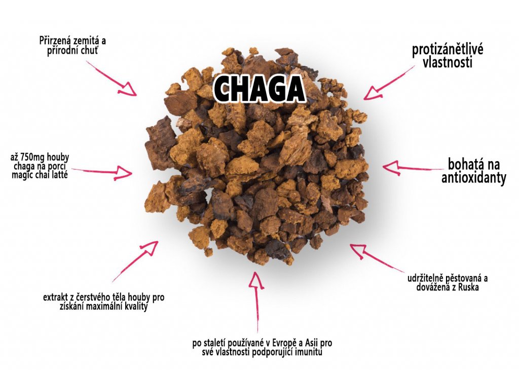 Chaga Chai Latte (2)